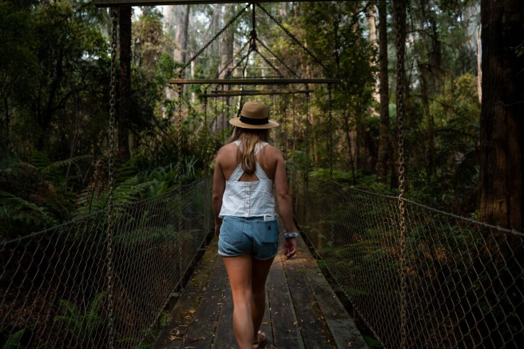 Walking In Nature: 3 Key Areas To Improve Your Life For The Better Walking In Nature: 3 Key Areas To Improve Your Life For The Better