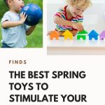 Daily Mom Parent Portal Spring Toys Pin