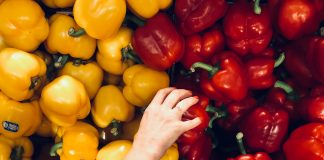 daily-mom-intuitive-eating-principles