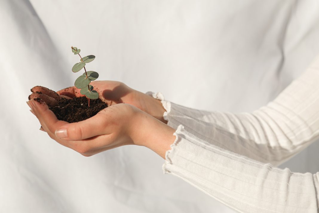 5 Ways To Show Kids Why Sustainability Is Important