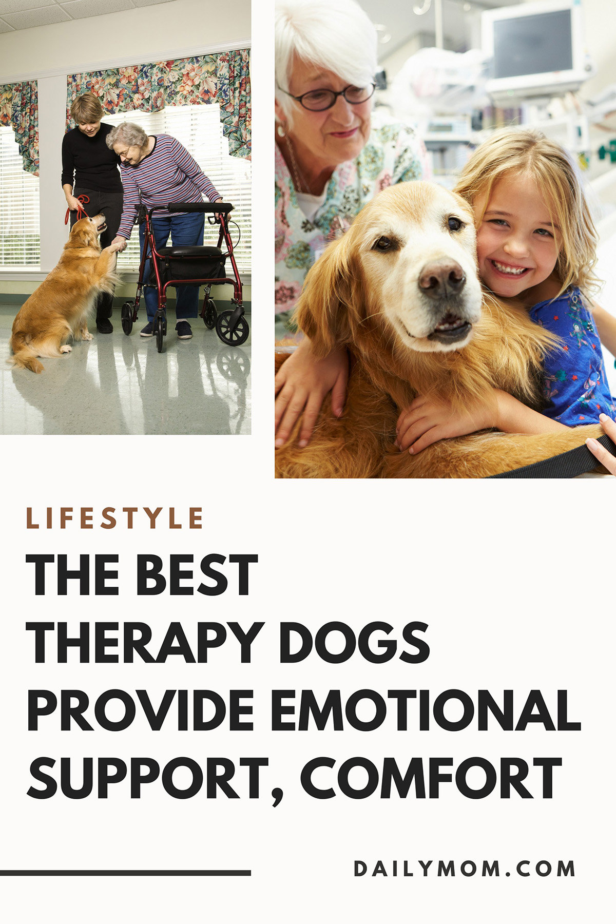 How The Best Therapy Dogs Provide Comfort And Support To Their Owners