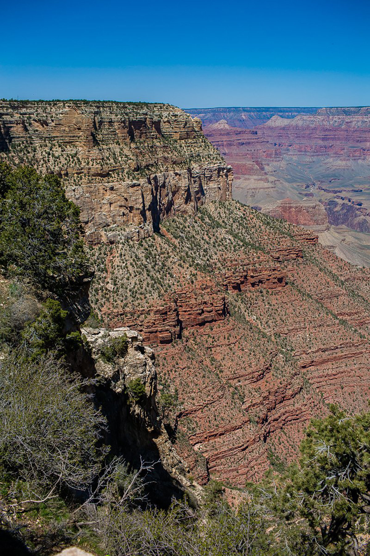 Grand Canyon 7