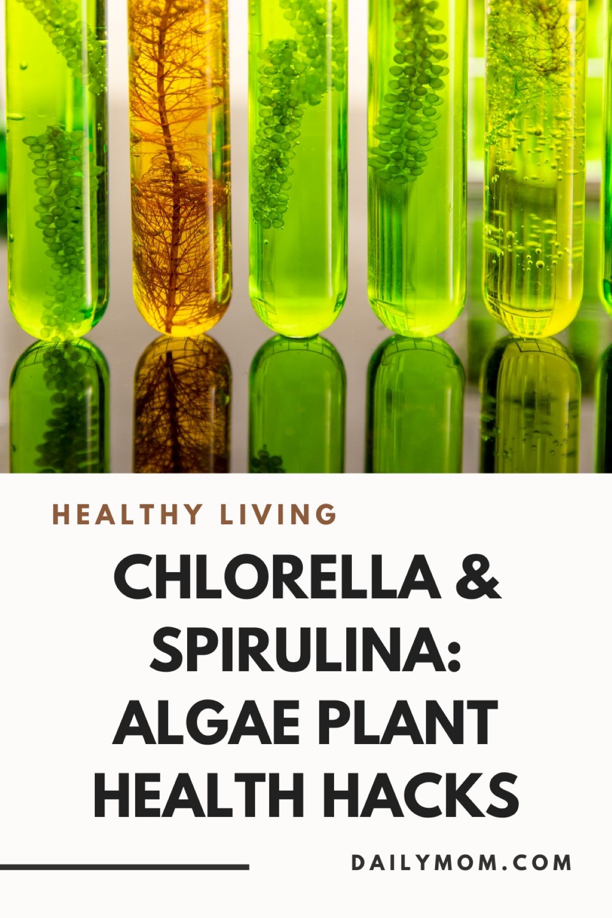 Chlorella & Spirulina: 2 Algae Plant Types To Hack Your Health