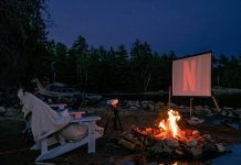 4 Steps To Make Your Backyard Movie Night Party A Memorable Summer Event