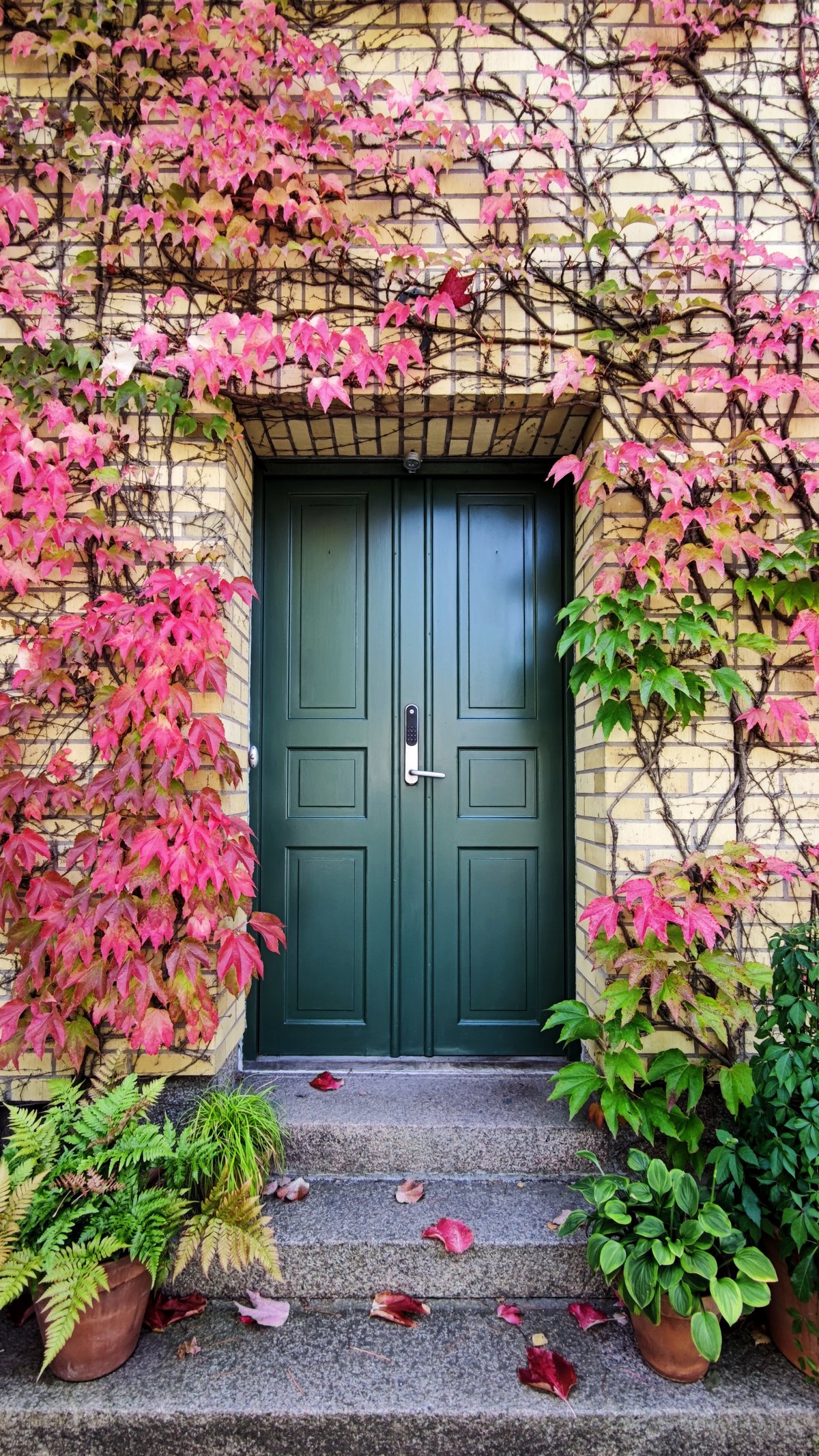 Painted Interior Front Door + GIVEAWAY - How to Nest for Less™