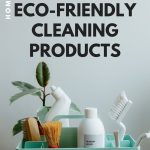 25 Must-try Eco-friendly Cleaning Products: Discover The Power Of Sustainable Cleaning Solutions