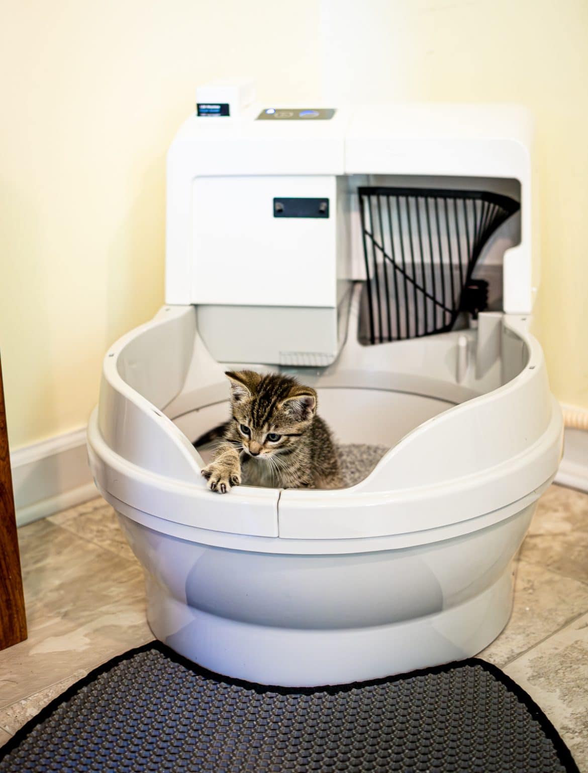 Self Cleaning Litter Box The Revolutionary CatGenie A.I. {2023}