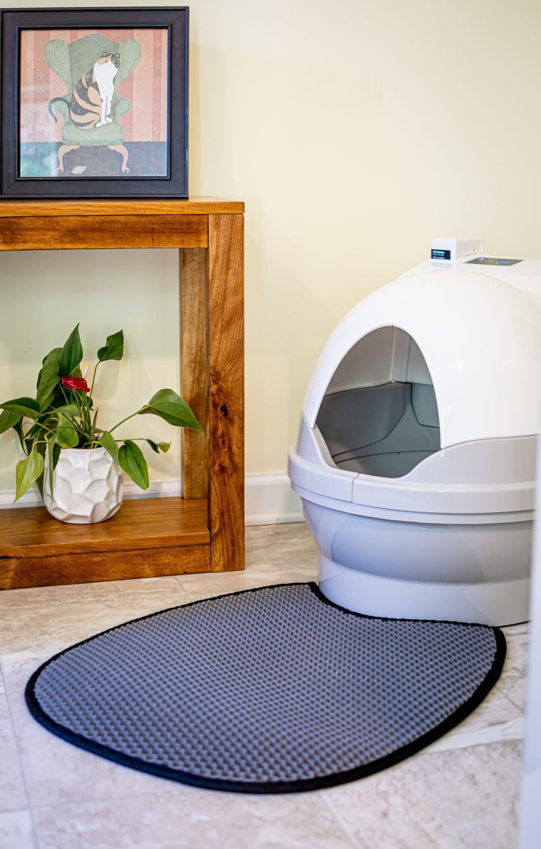 Self Cleaning Litter Box The Revolutionary CatGenie A.I. {2023}