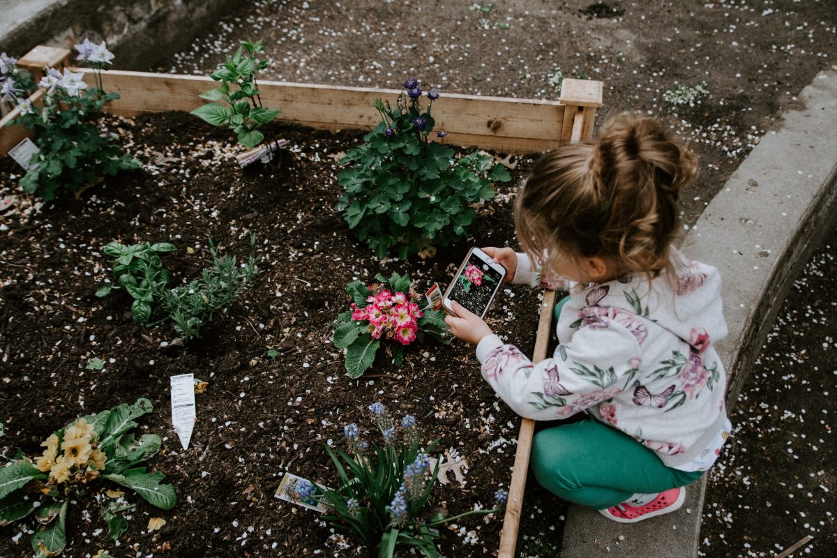 Year-Round Service Projects For Building Family Bonds: 5 Ideas For All Ages And Abilities