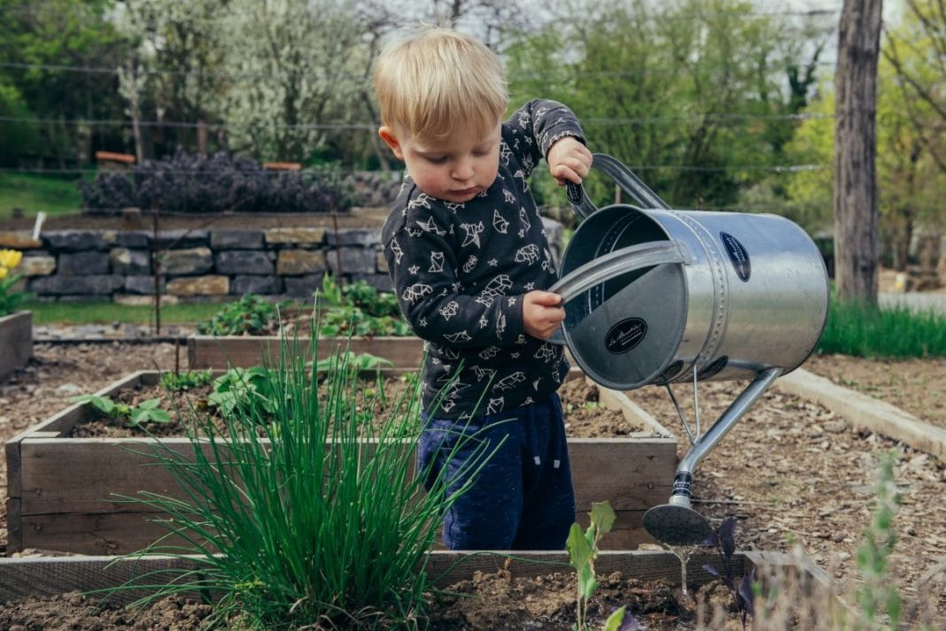 daily mom parent portal raised bed plants