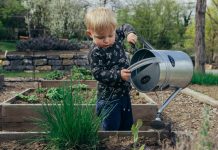 daily mom parent portal raised bed plants