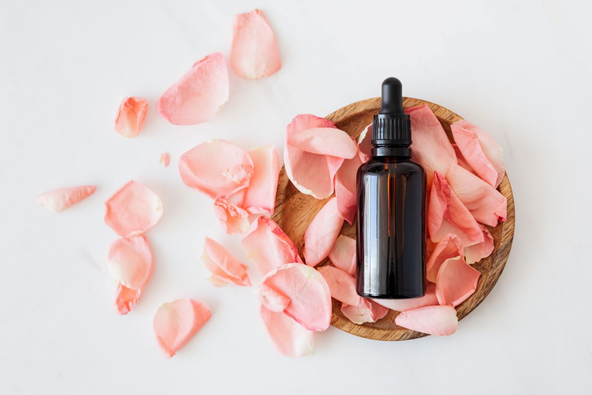 daily mom parent portal benefit of rose water