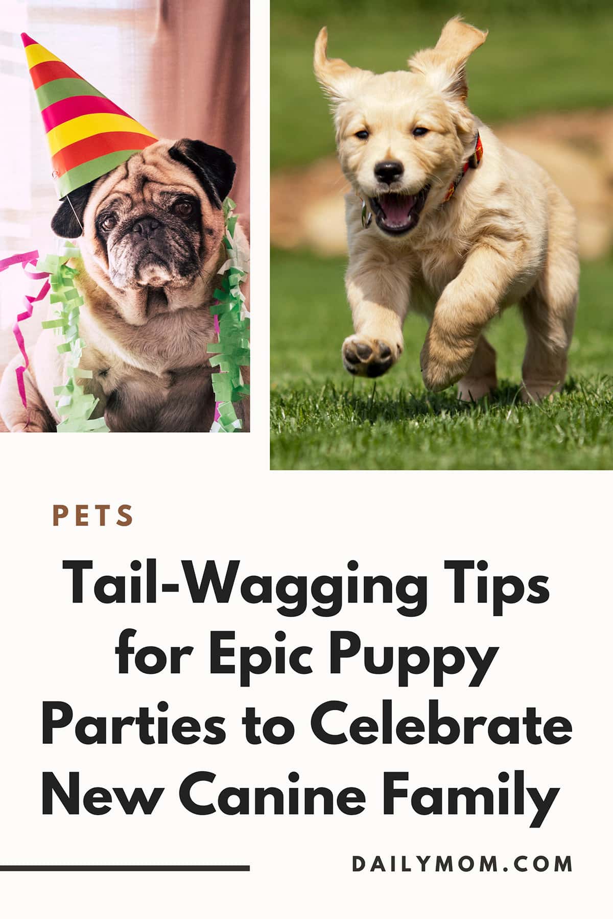 Daily-Mom-Parent-Portal-Puppy-Parties