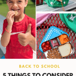 5 Things to Consider When Choosing Healthy Snacks for Back to School