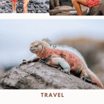 The Best Galapagos Cruise Experience For Family Travelers