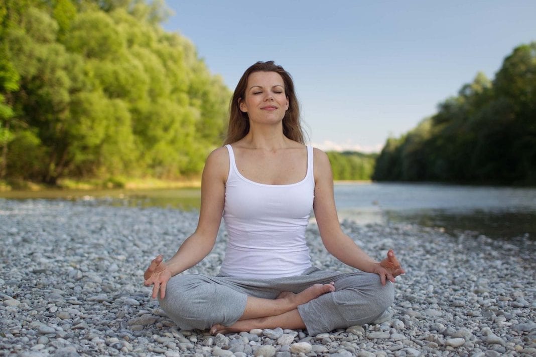 daily mom parent portal get healthy feature