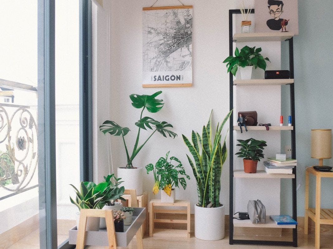 huy phan EleyBNnodCY unsplash 1
