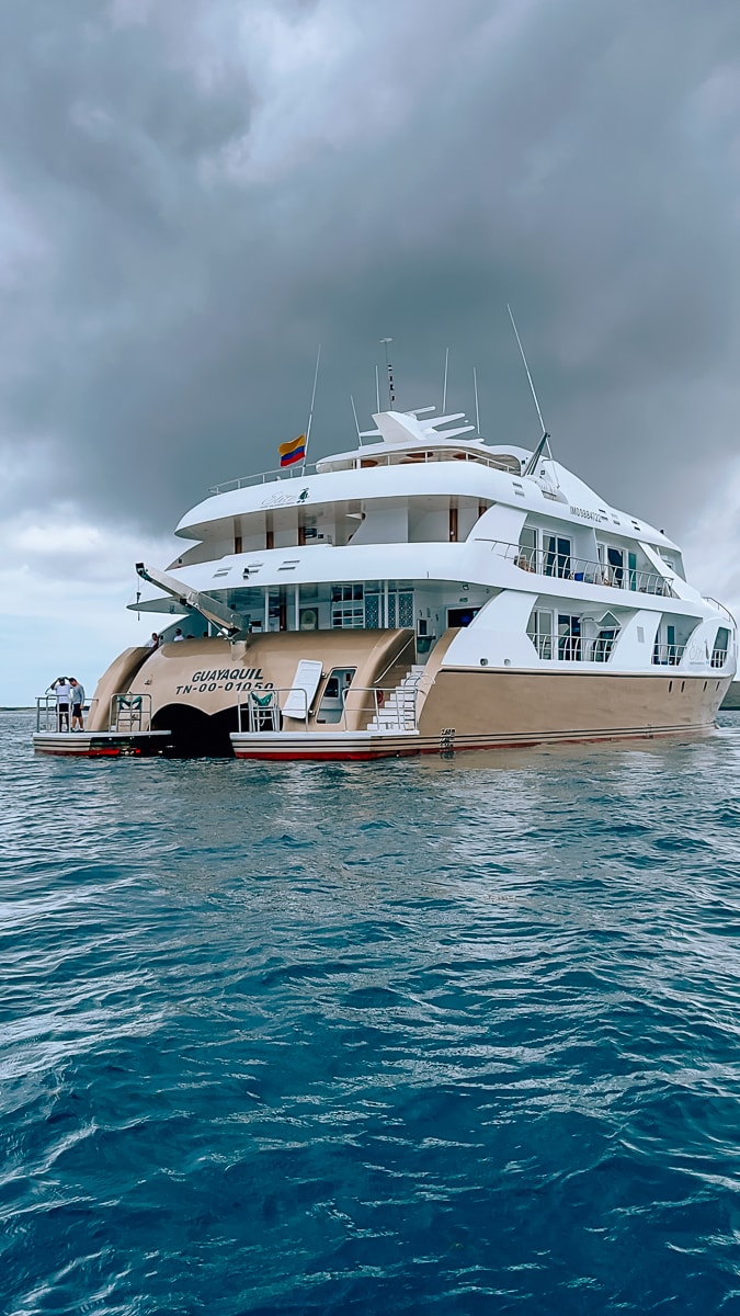 luxury galapagos cruises daily mom golden galapagos 842 1