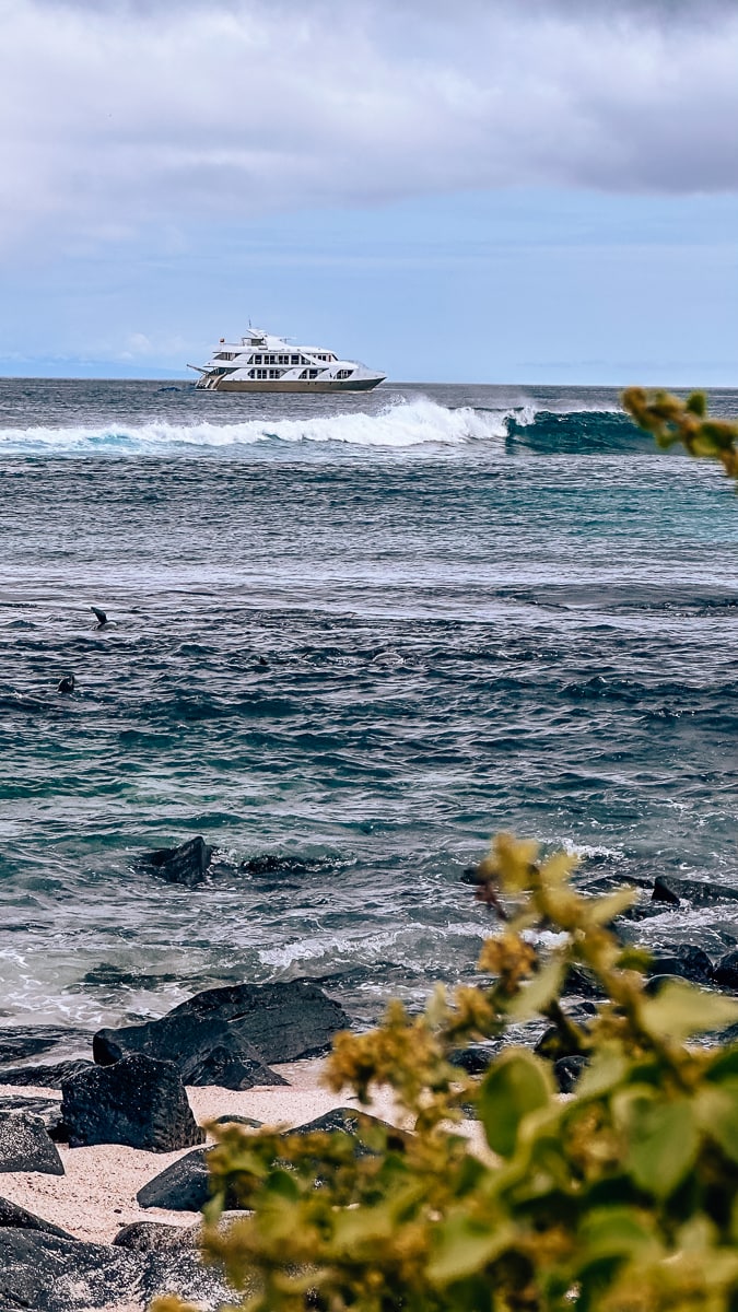 Luxury Galapagos Cruises Daily Mom Golden Galapagos 854