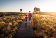 daily-mom-introvert-characteristics