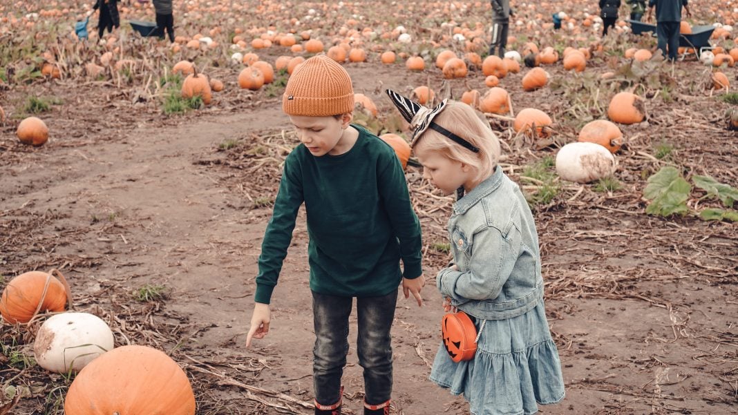 zhCSt daily mom parent portal fun fall activities