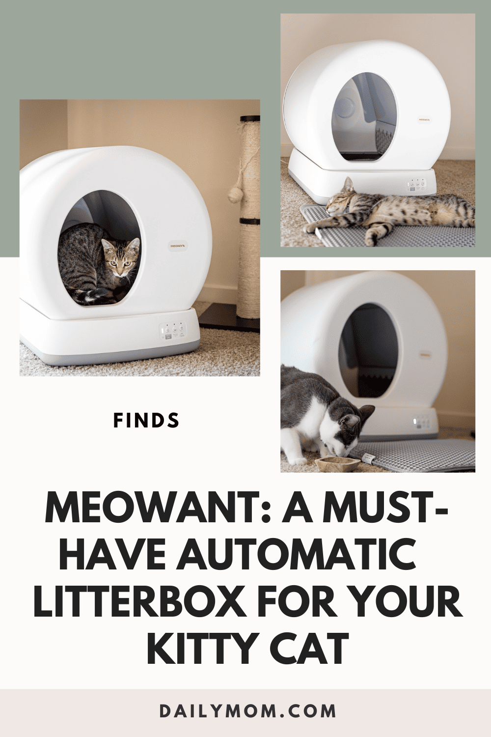Daily Mom Parent Portal Meowwant 15