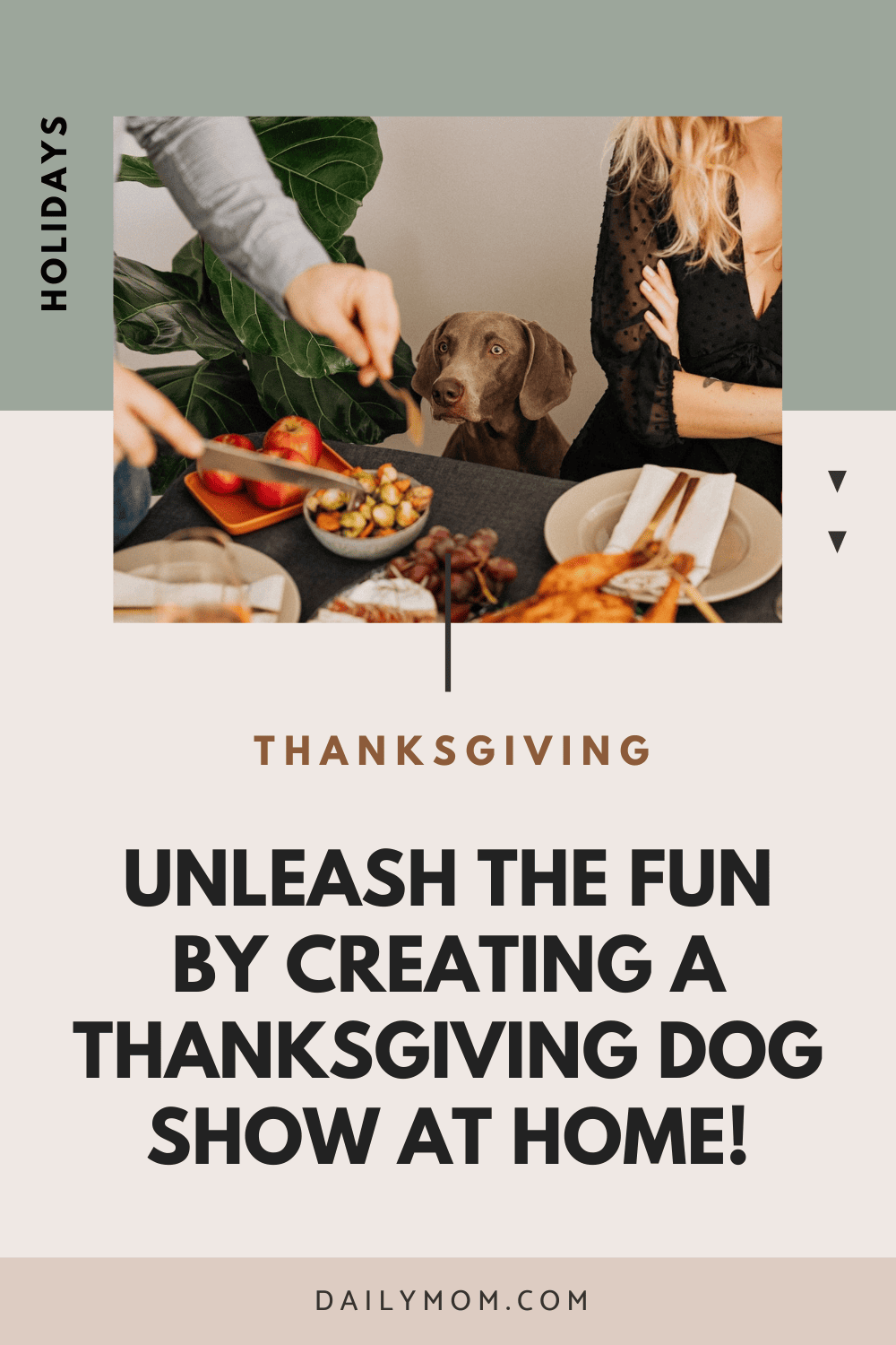 Daily-Mom-Parent-Portal-Thanksgiving-Dog-Show