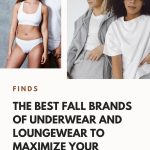 DAILY MOM PARENT PORTAL BRANDS OF UNDERWEAR PIN
