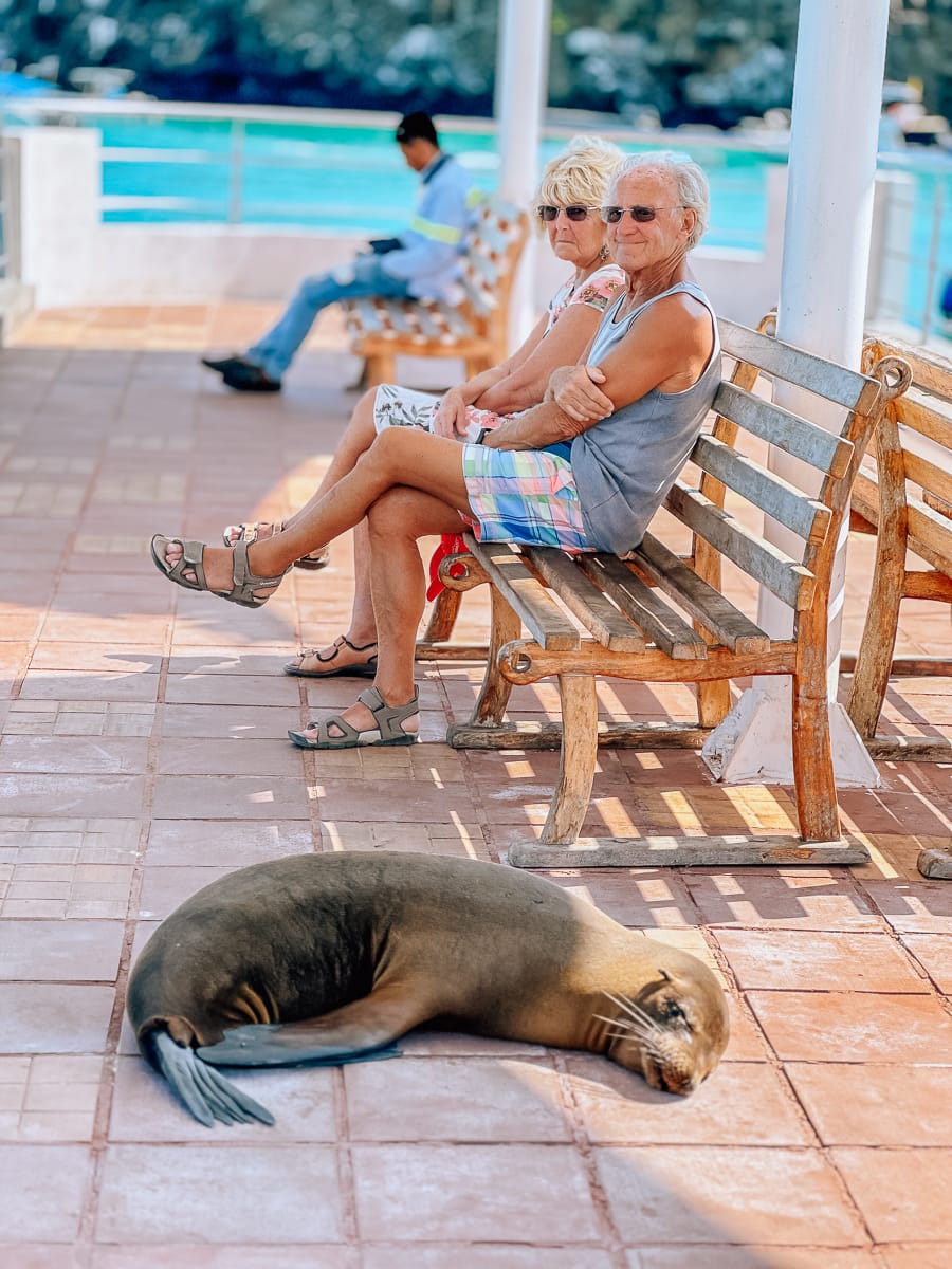 Your Guide To The Galapagos Islands: Top Things To Do And See In Puerto Ayora, Santa Cruz Island 10 Daily Mom, Magazine For Families