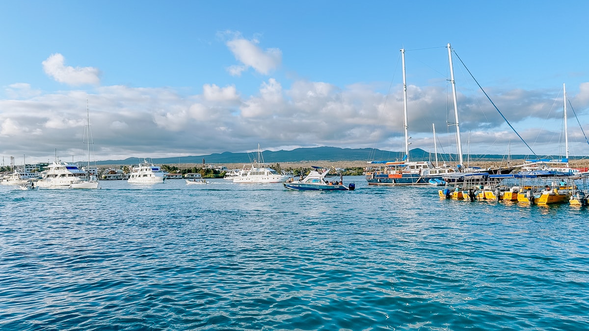 Your Guide To The Galapagos Islands: Top Things To Do And See In Puerto Ayora, Santa Cruz Island 69 Daily Mom, Magazine For Families
