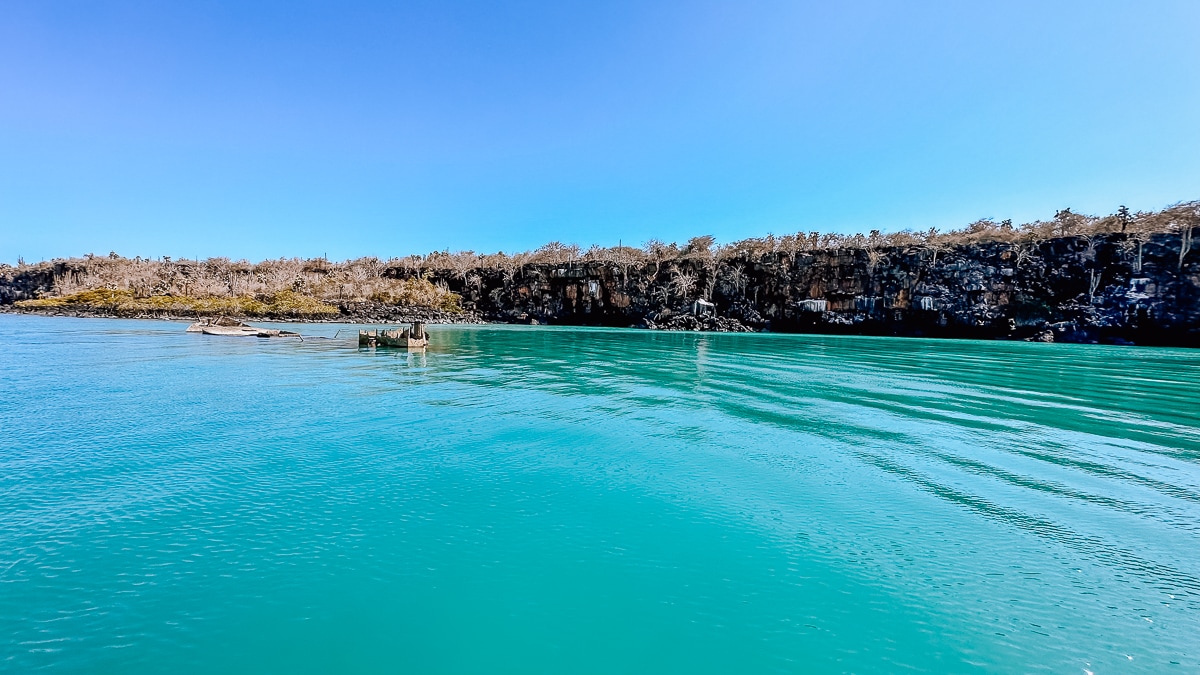 Your Guide To The Galapagos Islands: Top Things To Do And See In Puerto Ayora, Santa Cruz Island 48 Daily Mom, Magazine For Families
