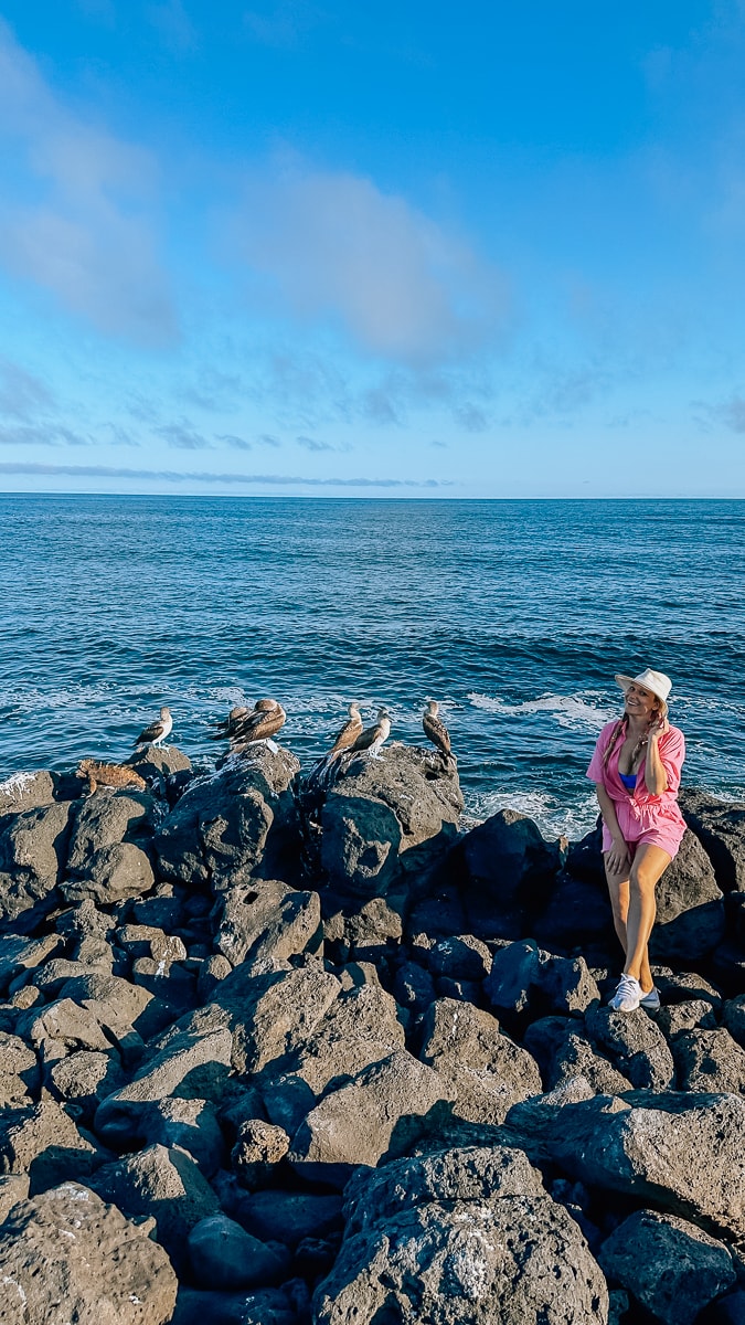 Your Guide To The Galapagos Islands: Top Things To Do And See In Puerto Ayora, Santa Cruz Island 76 Daily Mom, Magazine For Families