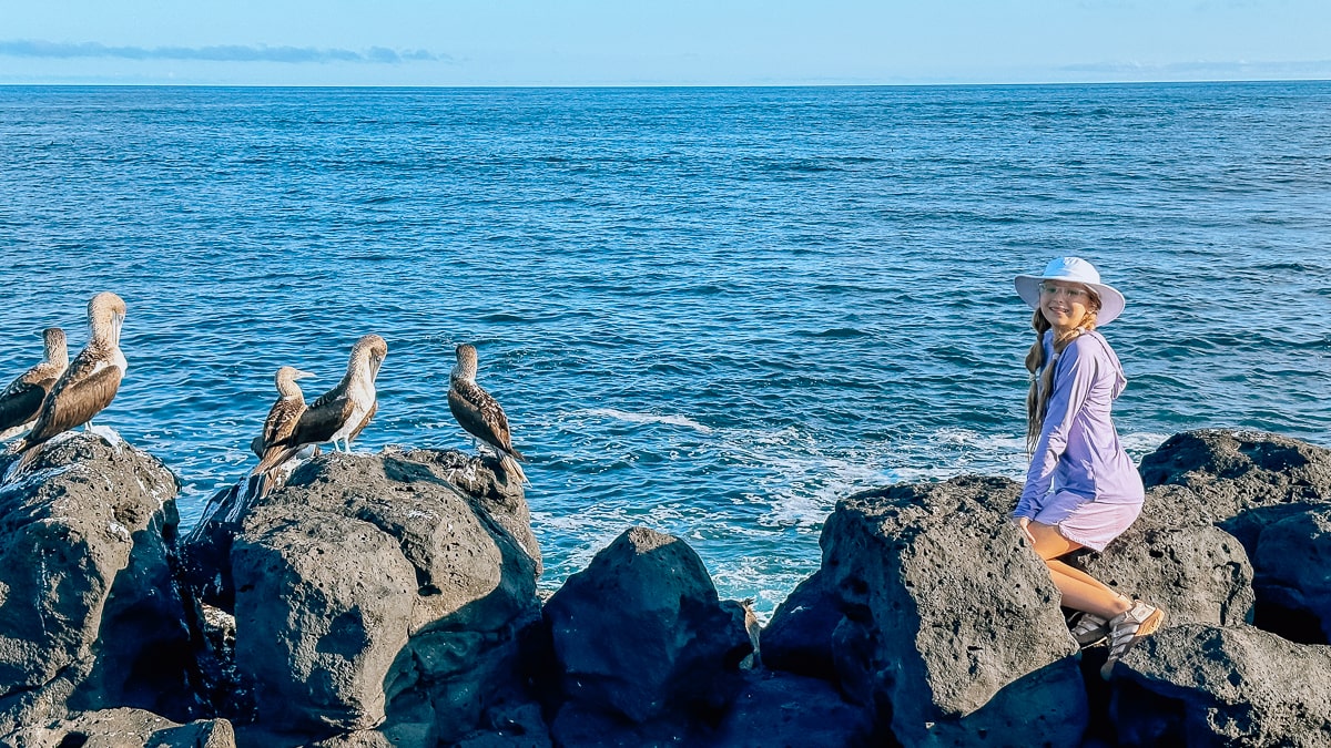 Your Guide To The Galapagos Islands: Top Things To Do And See In Puerto Ayora, Santa Cruz Island 61 Daily Mom, Magazine For Families