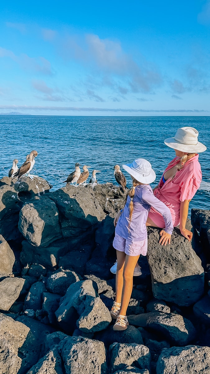 Your Guide To The Galapagos Islands: Top Things To Do And See In Puerto Ayora, Santa Cruz Island 52 Daily Mom, Magazine For Families