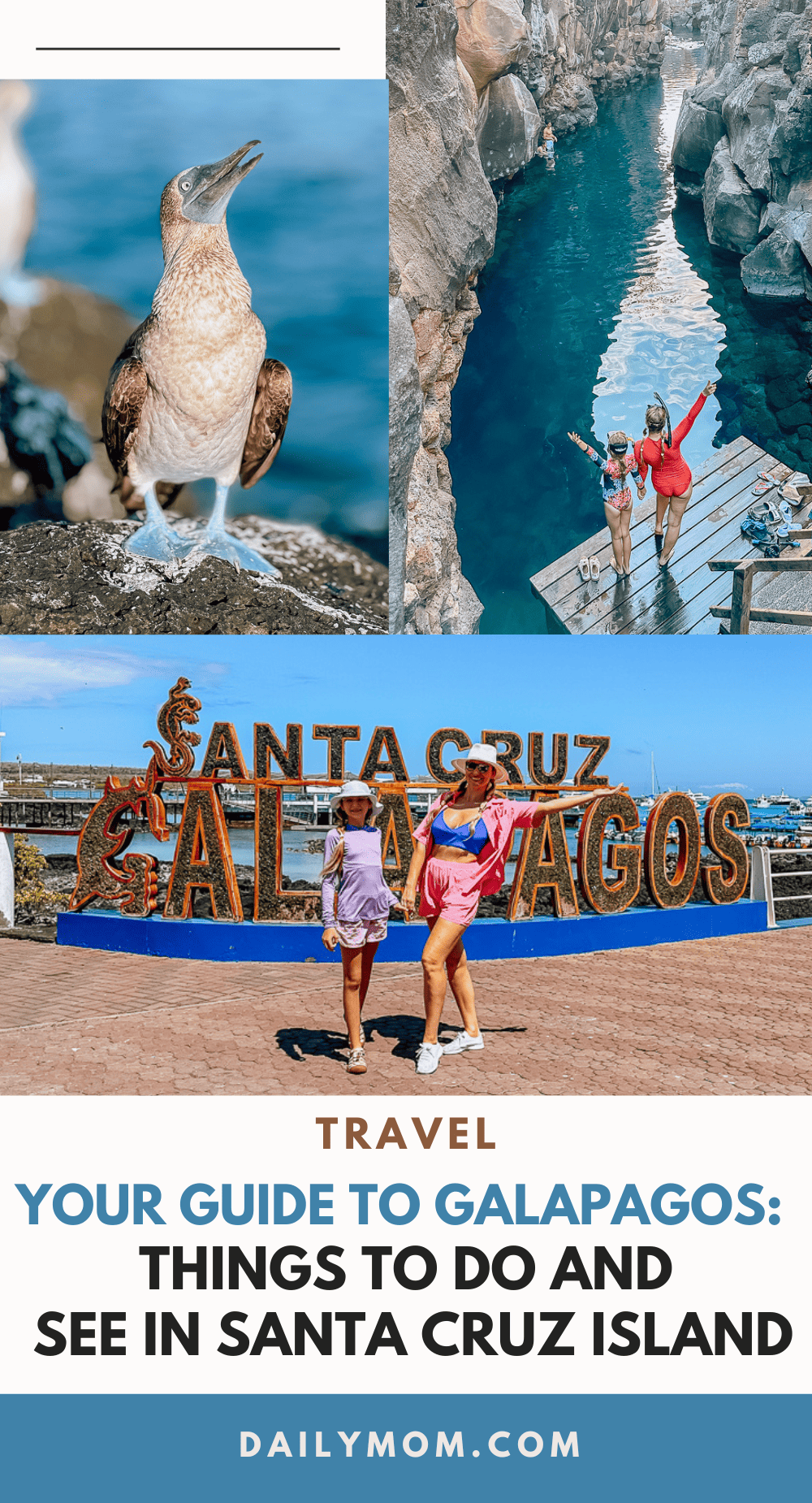 Your Guide To The Galapagos Islands: Top Things To Do And See In Puerto Ayora, Santa Cruz Island 77 Daily Mom, Magazine For Families