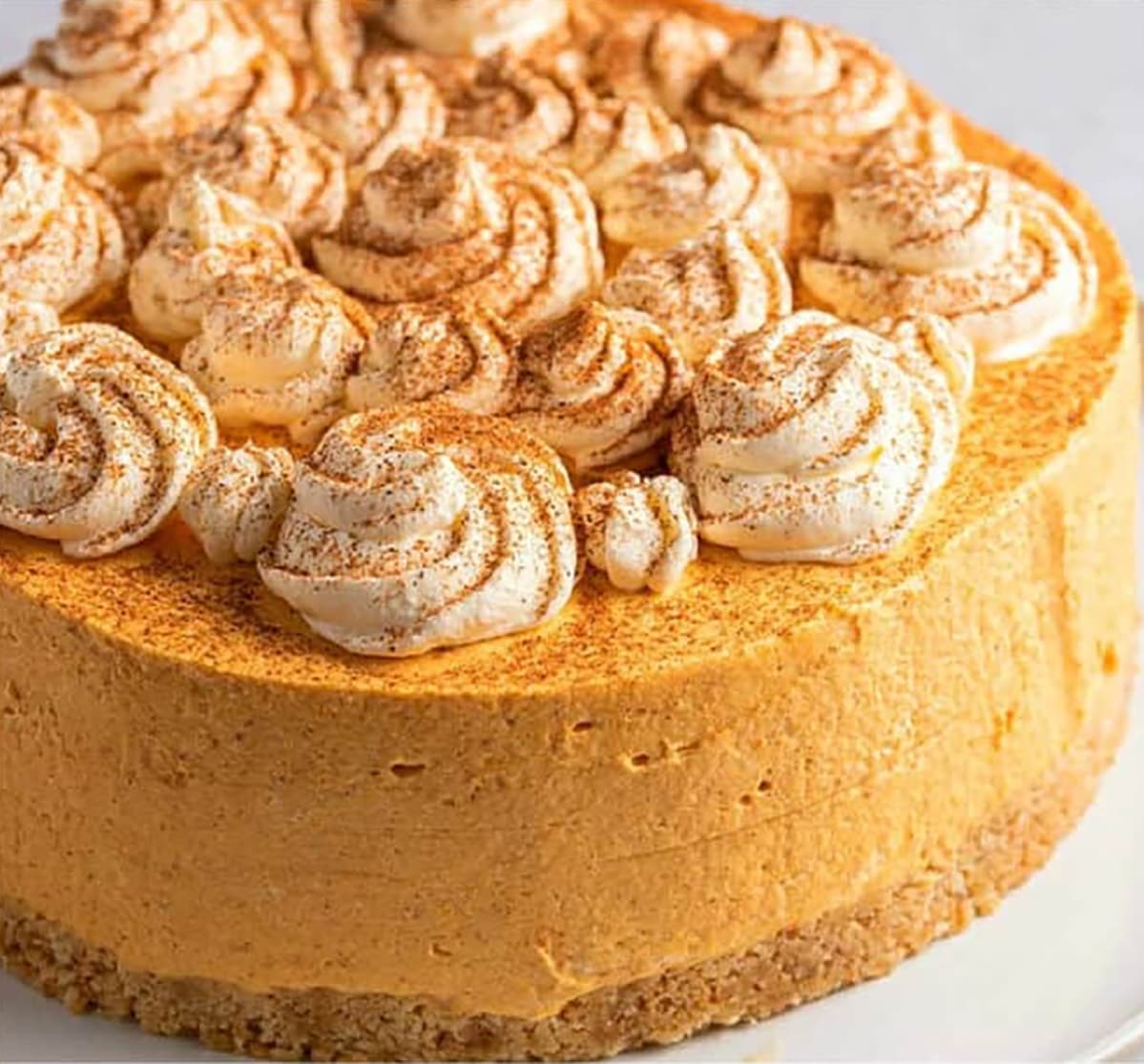 Daily-Mom-Parent-Portal-Pumpkin-Spice-Cheesecake