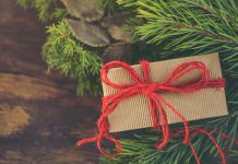 daily mom parent portal unique xmas gifts