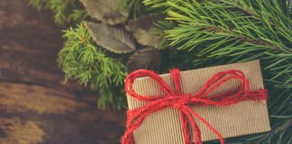 daily mom parent portal unique xmas gifts