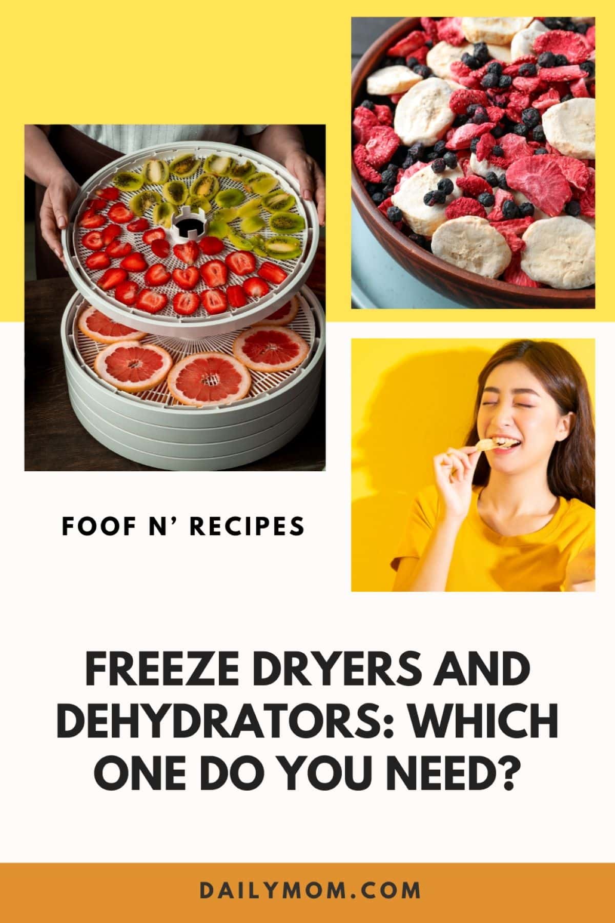 The Ultimate Guide to Home Food Preservation and Processing: Freeze Dried Food vs. Dehydrating - the Best Way to Preserve Food at Home 5 Daily Mom, Magazine for Families