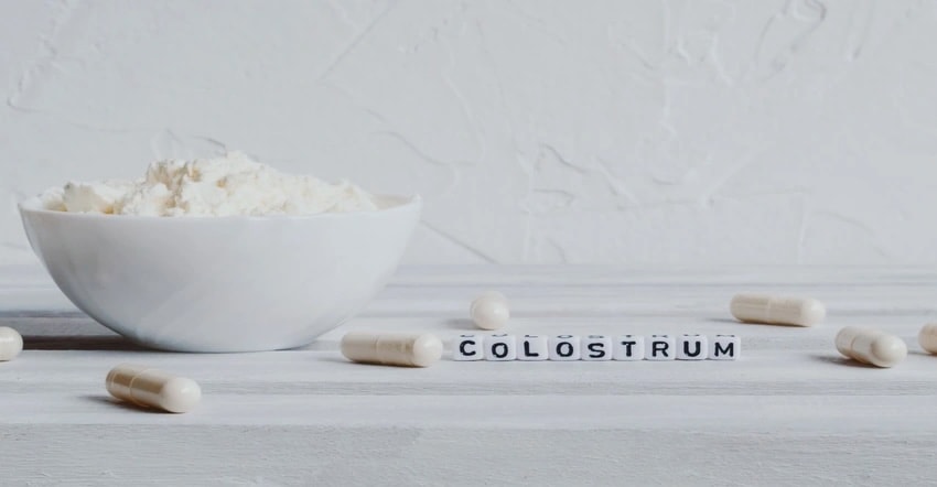 Daily Mom Parent Portal Benefits Of Taking Colostrum