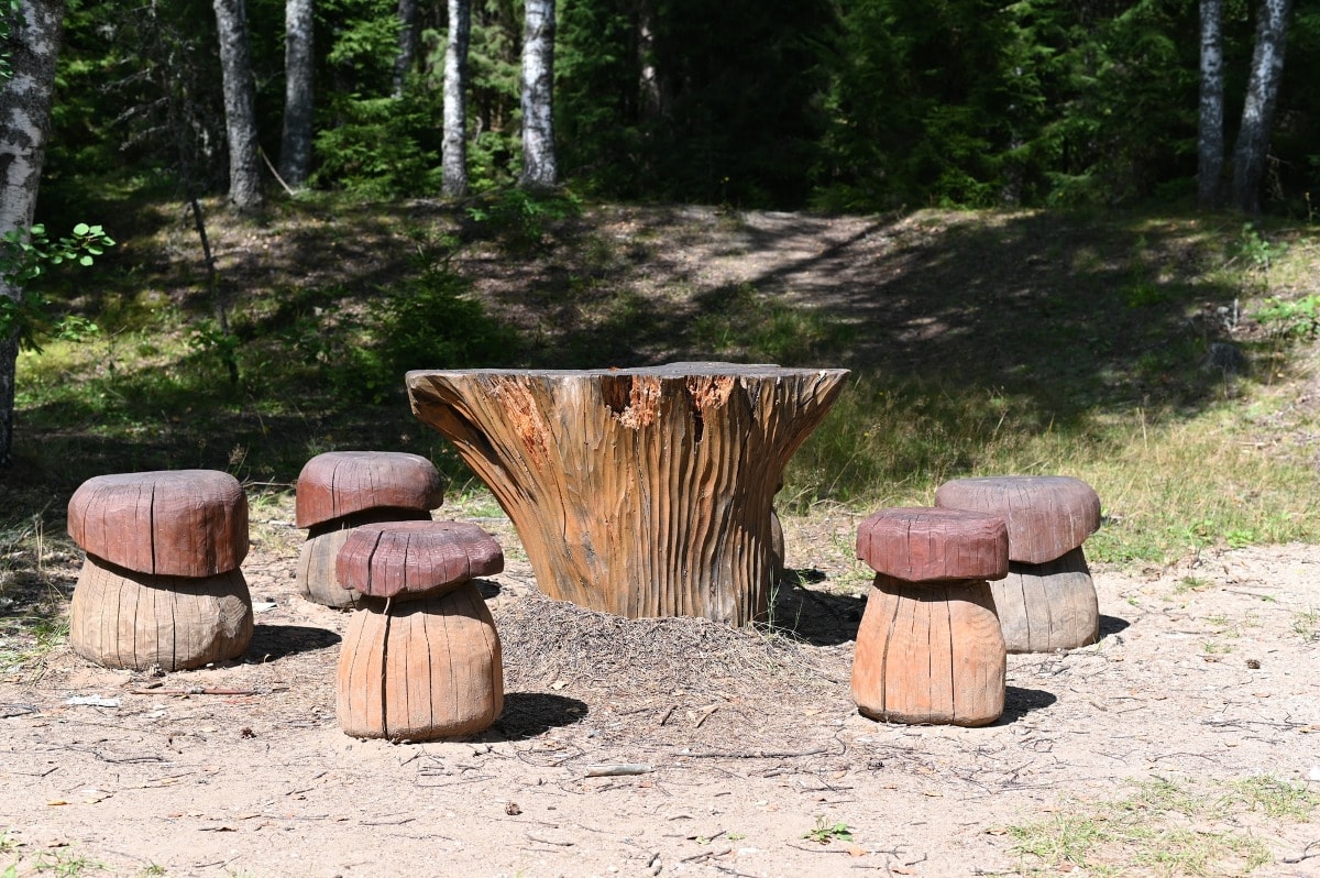 Daily Mom Parent Portal Ideas For Tree Stumps