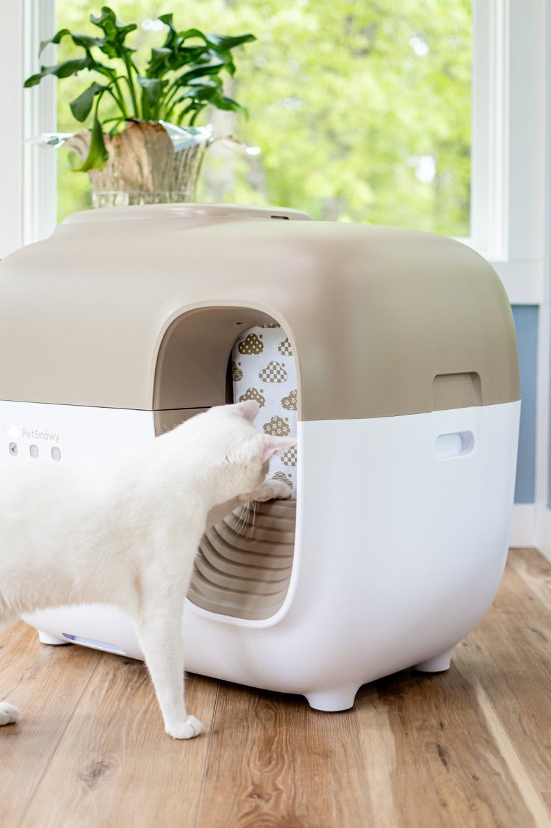 Smarter Cat Owners Are Turning To Petsnowy Self-Cleaning Litter Box &Amp; Not Looking Back 8 Daily Mom, Magazine For Families