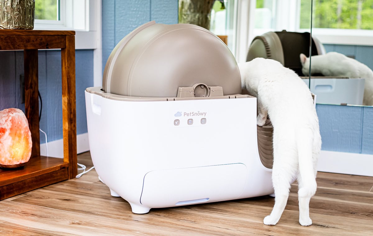 Smarter Cat Owners Are Turning To Petsnowy Self-Cleaning Litter Box &Amp; Not Looking Back 20 Daily Mom, Magazine For Families