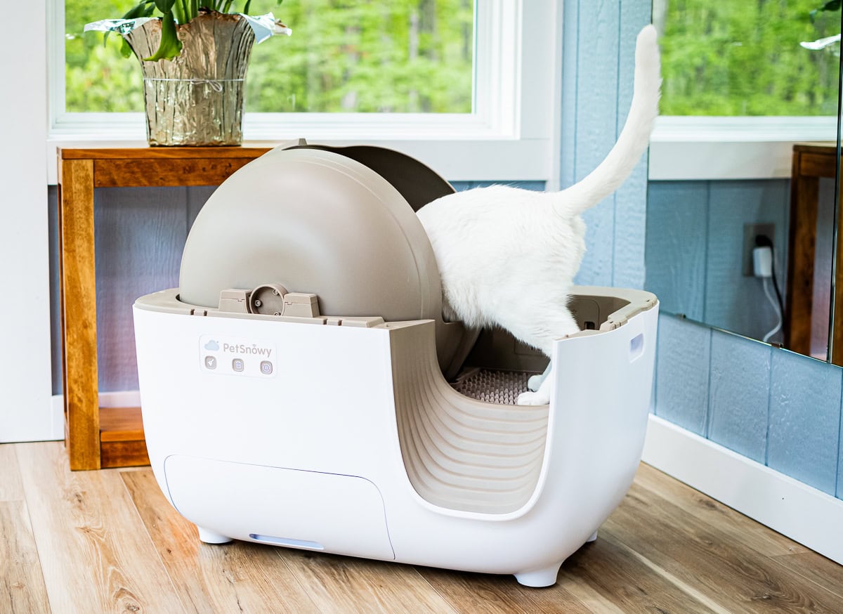 Smarter Cat Owners Are Turning To Petsnowy Self-Cleaning Litter Box &Amp; Not Looking Back 19 Daily Mom, Magazine For Families