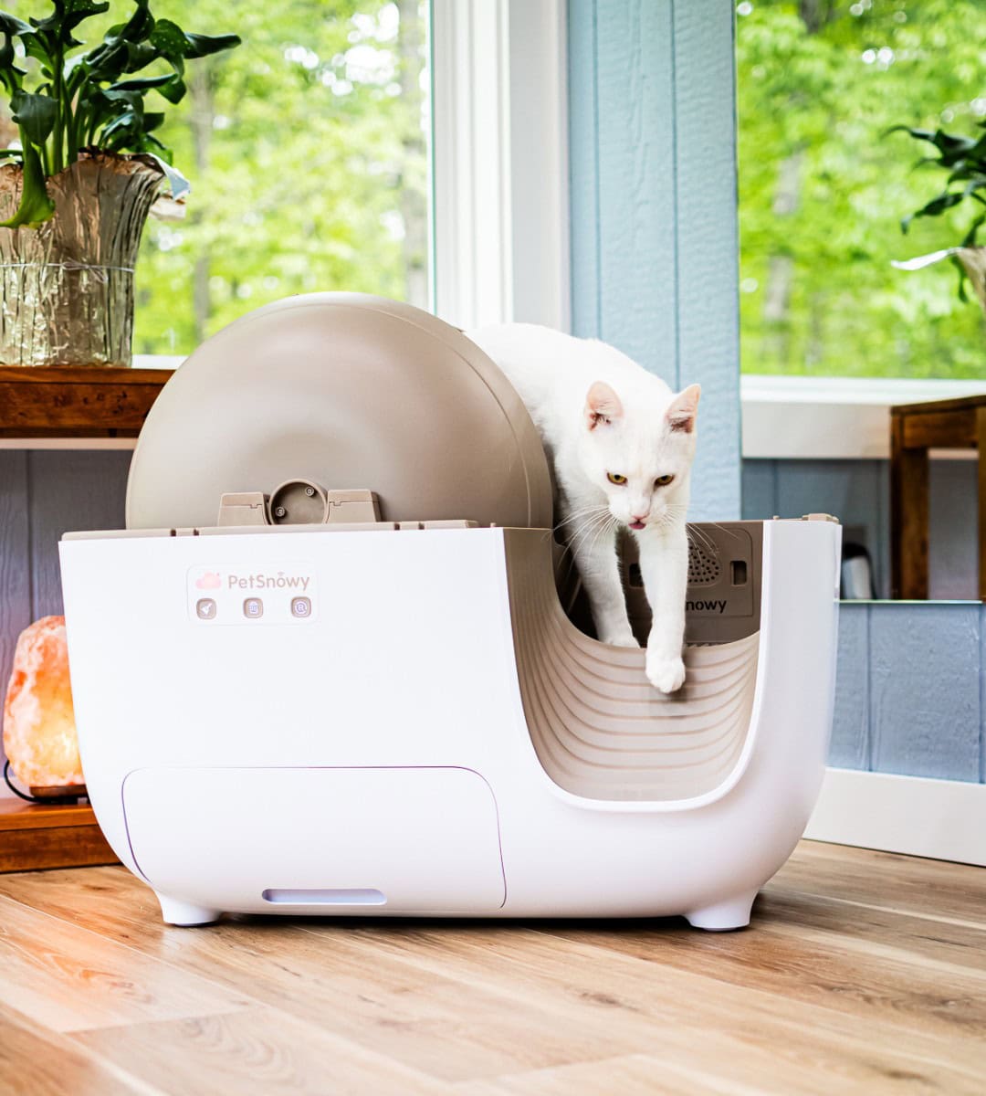 Smarter Cat Owners Are Turning To Petsnowy Self-Cleaning Litter Box &Amp; Not Looking Back 9 Daily Mom, Magazine For Families