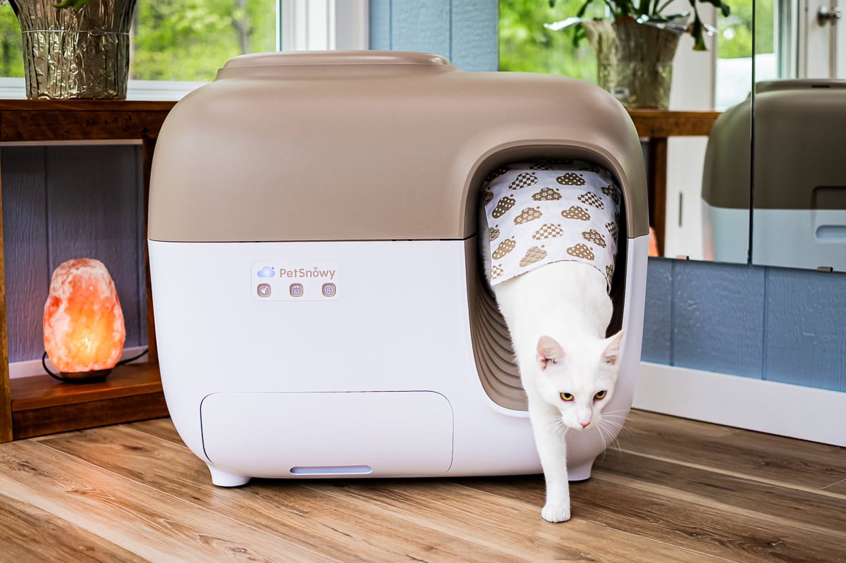 Smarter Cat Owners Are Turning To Petsnowy Self-Cleaning Litter Box &Amp; Not Looking Back 18 Daily Mom, Magazine For Families