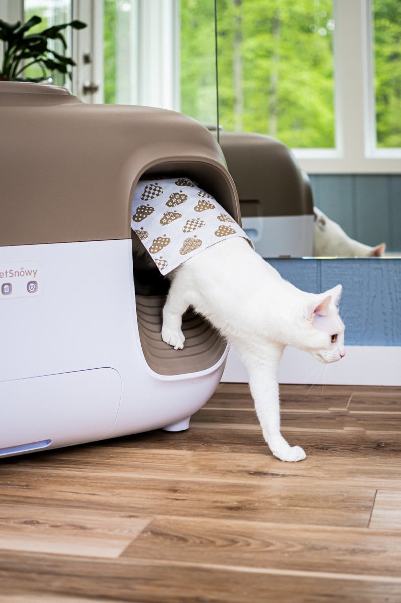 Smarter Cat Owners Are Turning To Petsnowy Self-Cleaning Litter Box &Amp; Not Looking Back 10 Daily Mom, Magazine For Families
