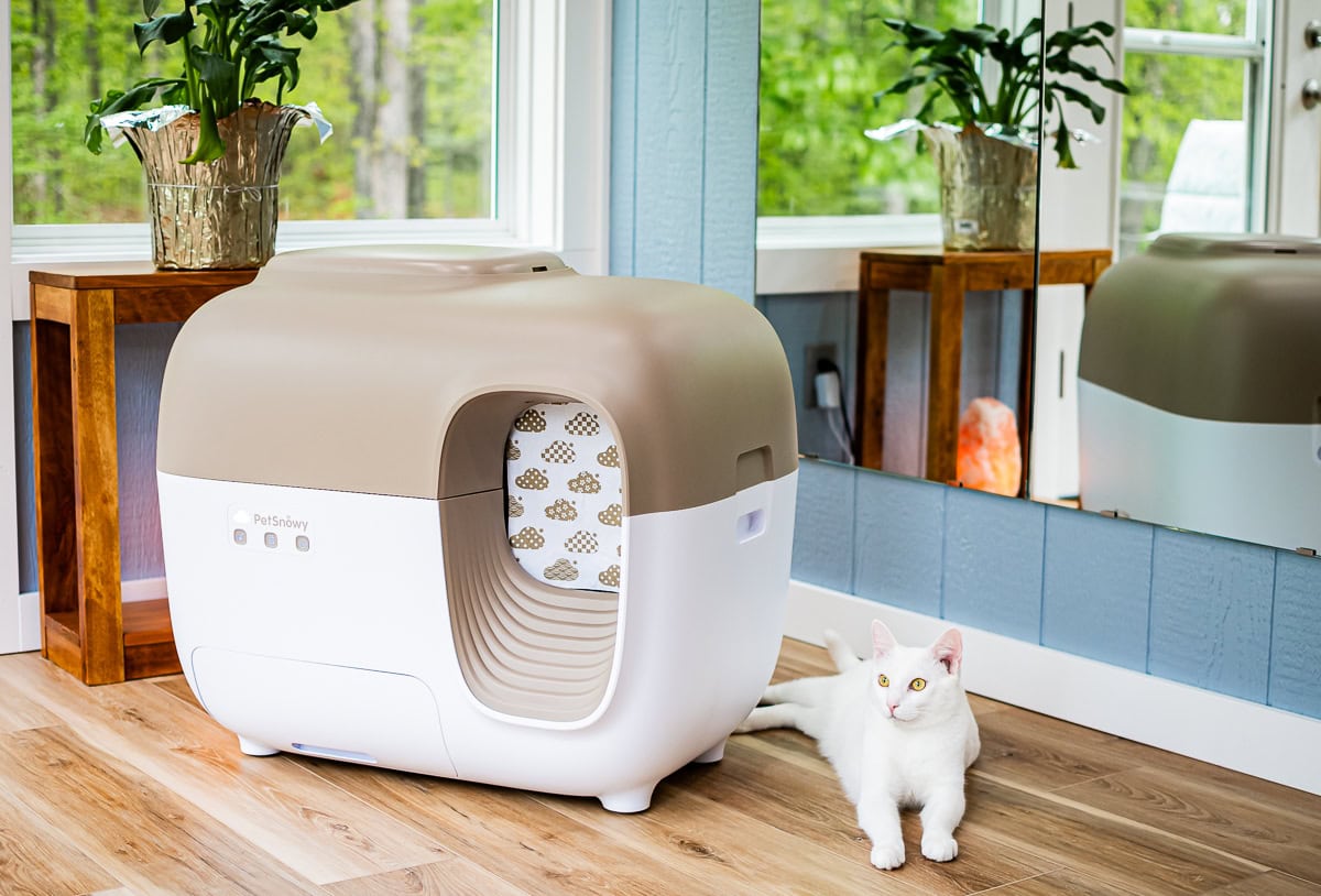 Smarter Cat Owners Are Turning To Petsnowy Self-Cleaning Litter Box &Amp; Not Looking Back 1 Daily Mom, Magazine For Families