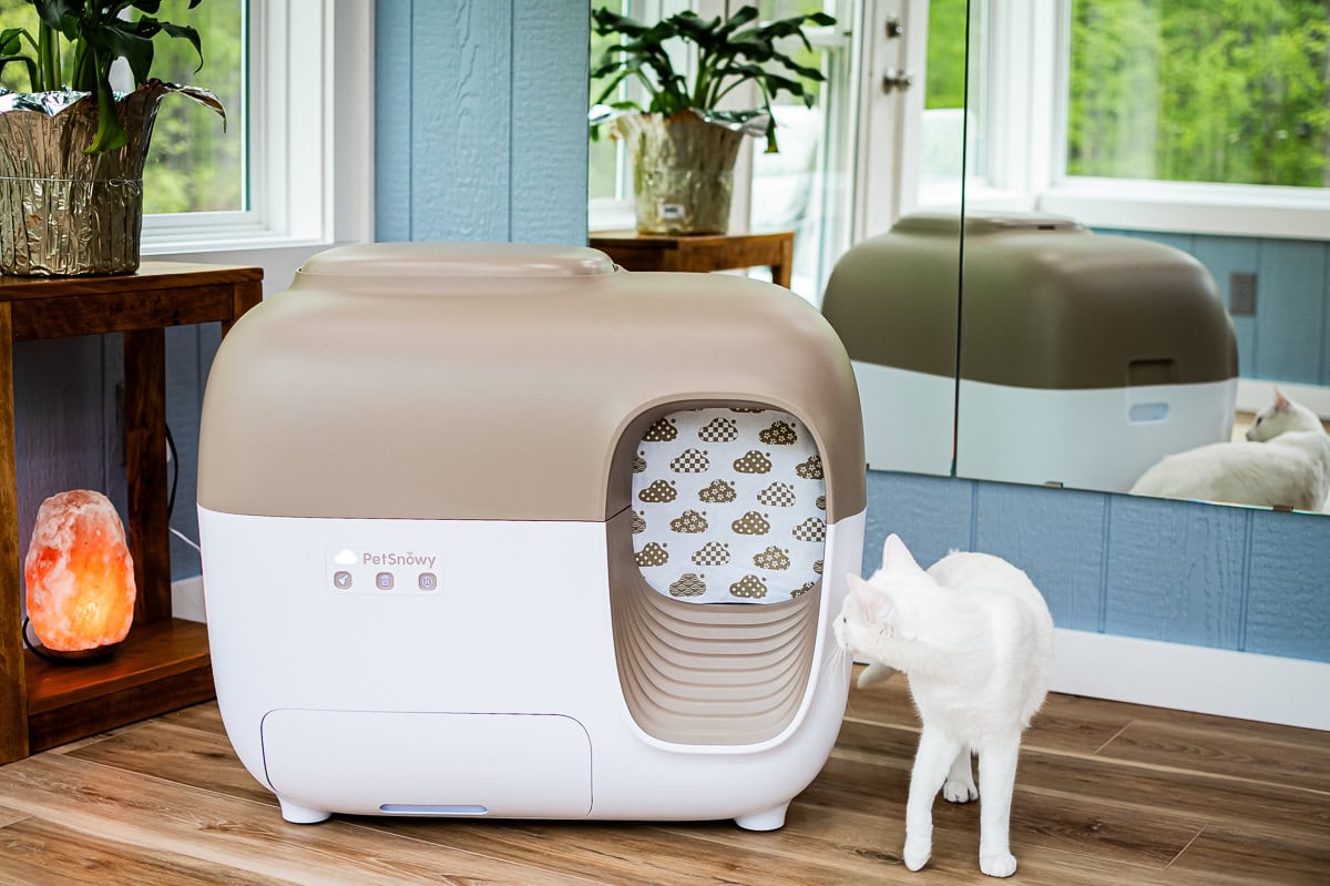 Smarter Cat Owners Are Turning To Petsnowy Self-Cleaning Litter Box &Amp; Not Looking Back 14 Daily Mom, Magazine For Families