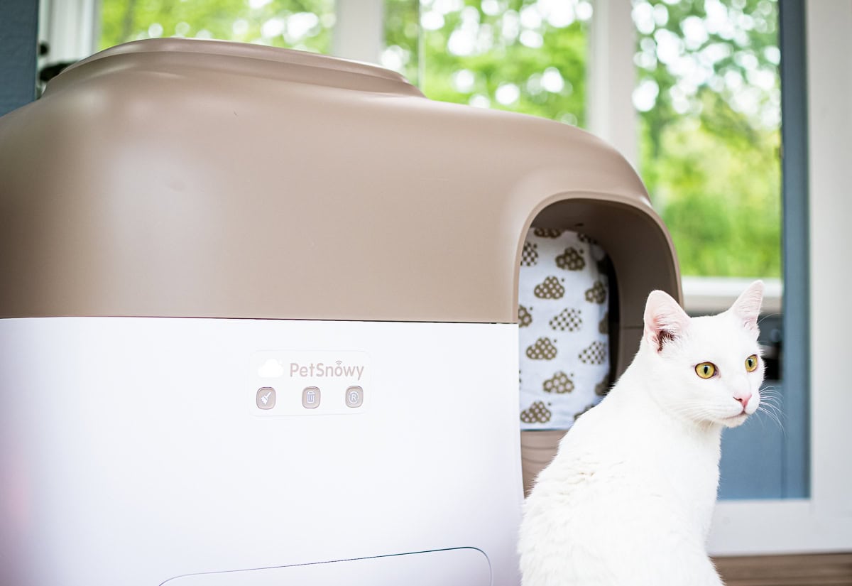 Smarter Cat Owners Are Turning To Petsnowy Self-Cleaning Litter Box &Amp; Not Looking Back 23 Daily Mom, Magazine For Families